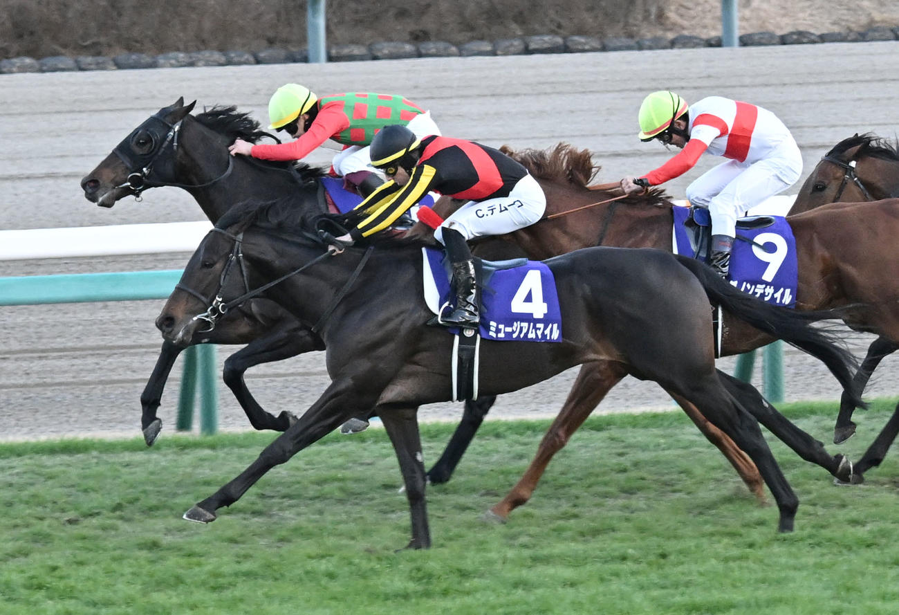 有馬記念を制したミュージアムマイルとC・デムーロ騎手（手前）（撮影・千葉一成）