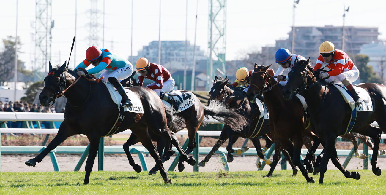 中山6R、2歳新馬戦を制したコンジェスタスとCデムーロ騎手（左）（撮影・野上伸悟）