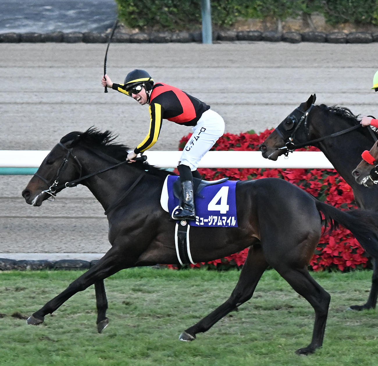 有馬記念をミュージアムマイルで制し、鞍上で喜ぶC・デムーロ騎手（撮影・千葉一成）