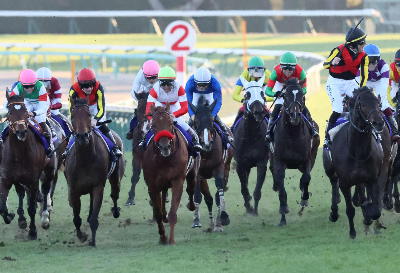 有馬記念4着に敗れたレガレイラ（左から2頭目）。右は勝ったミュージアムマイル（撮影・丹羽敏通）
