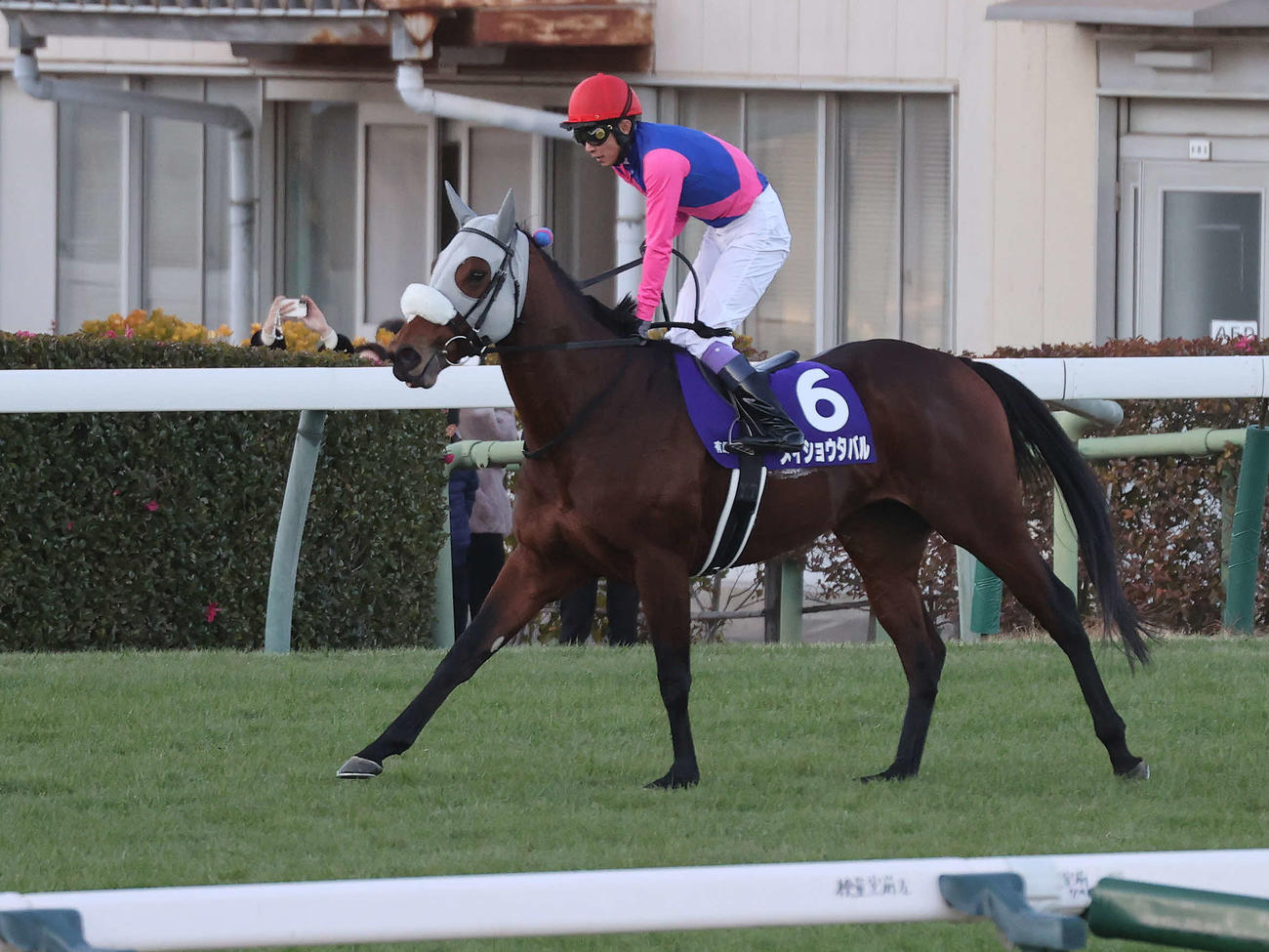 有馬記念13着に敗れたメイショウタバルと武豊騎手