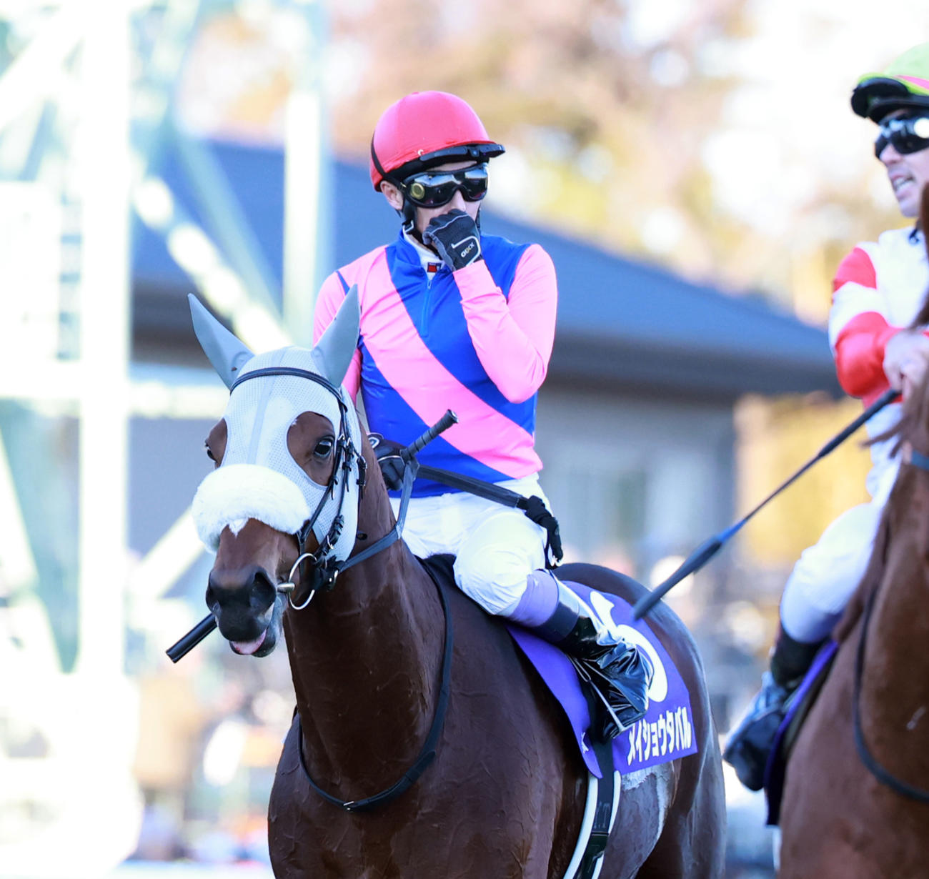 有馬記念で13着に終わったメイショウタバルと武騎手（撮影・野上伸悟）