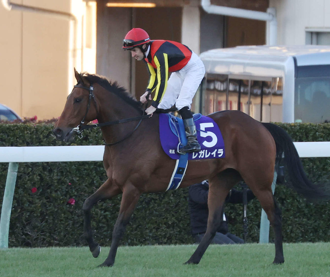 有馬記念で1番人気に応えられずに4着に敗れたレガレイラとルメール騎手