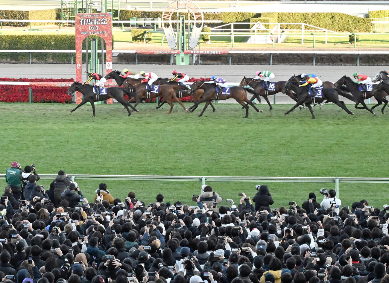 ミュージアムマイルが制した有馬記念（撮影・千葉一成）