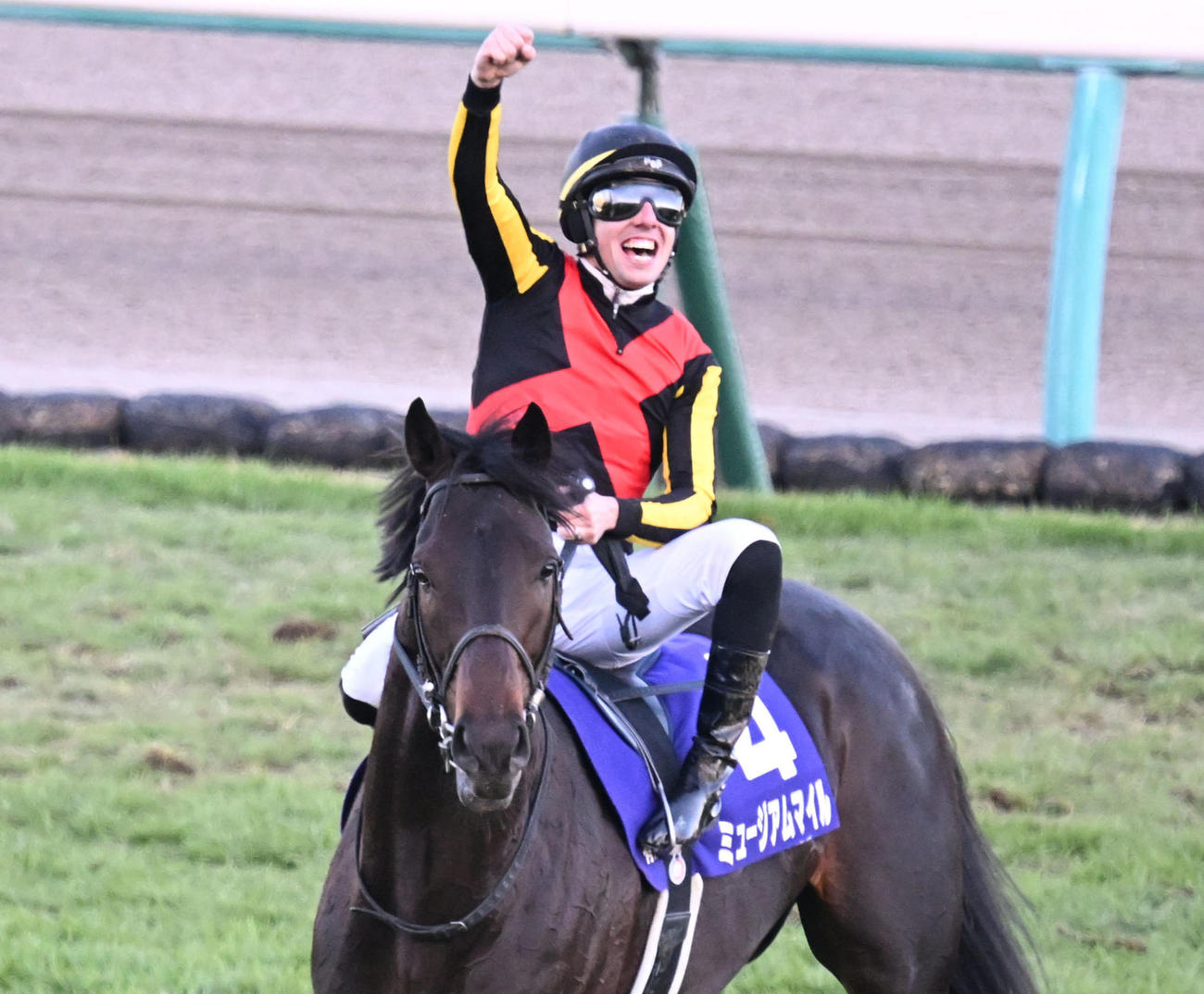 有馬記念をミュージアムマイルで制し、鞍上で喜ぶC・デムーロ騎手（撮影・千葉一成）