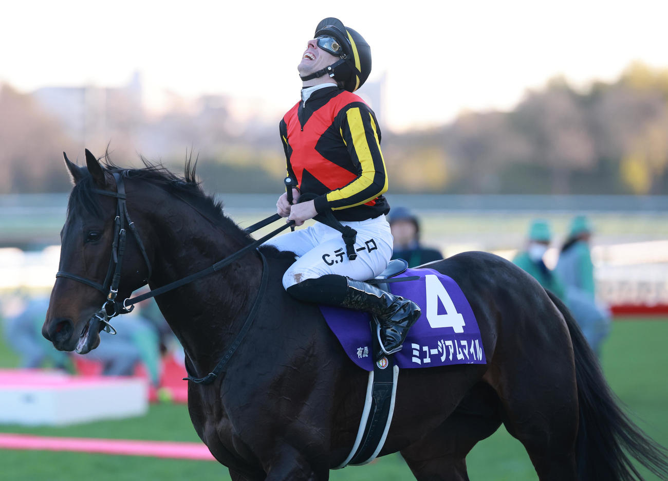 有馬記念を制したミュージアムマイルと喜ぶCデムーロ騎手（撮影・野上伸悟）