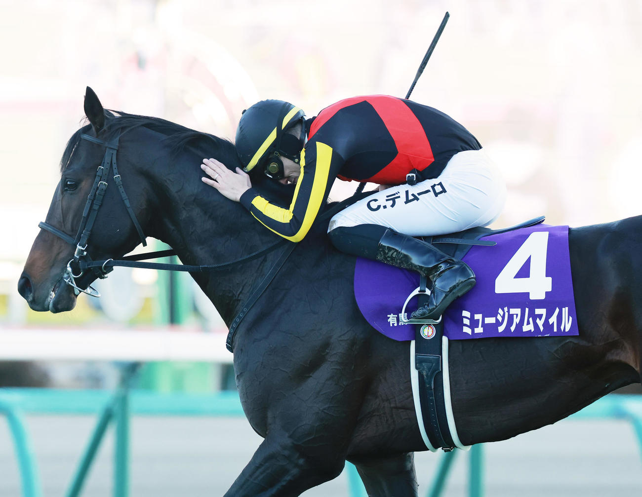 有馬記念を制したミュージアムマイルと喜ぶCデムーロ騎手（撮影・野上伸悟）