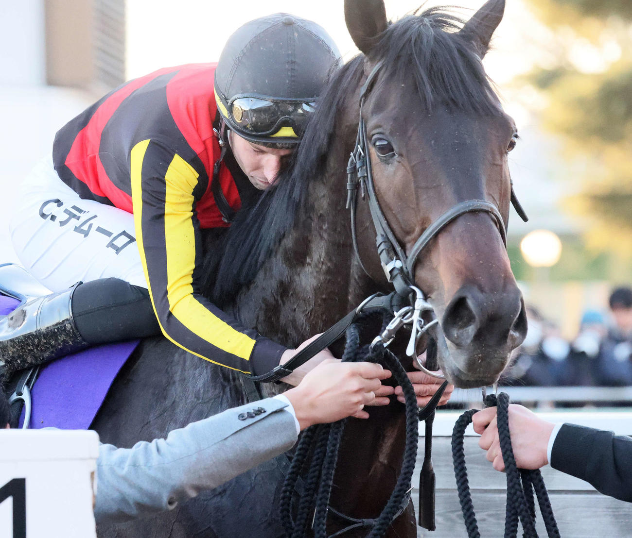 有馬記念をミュージアムマイルで制して首筋に顔を埋めるC・デムーロ騎手（撮影・丹羽敏通）