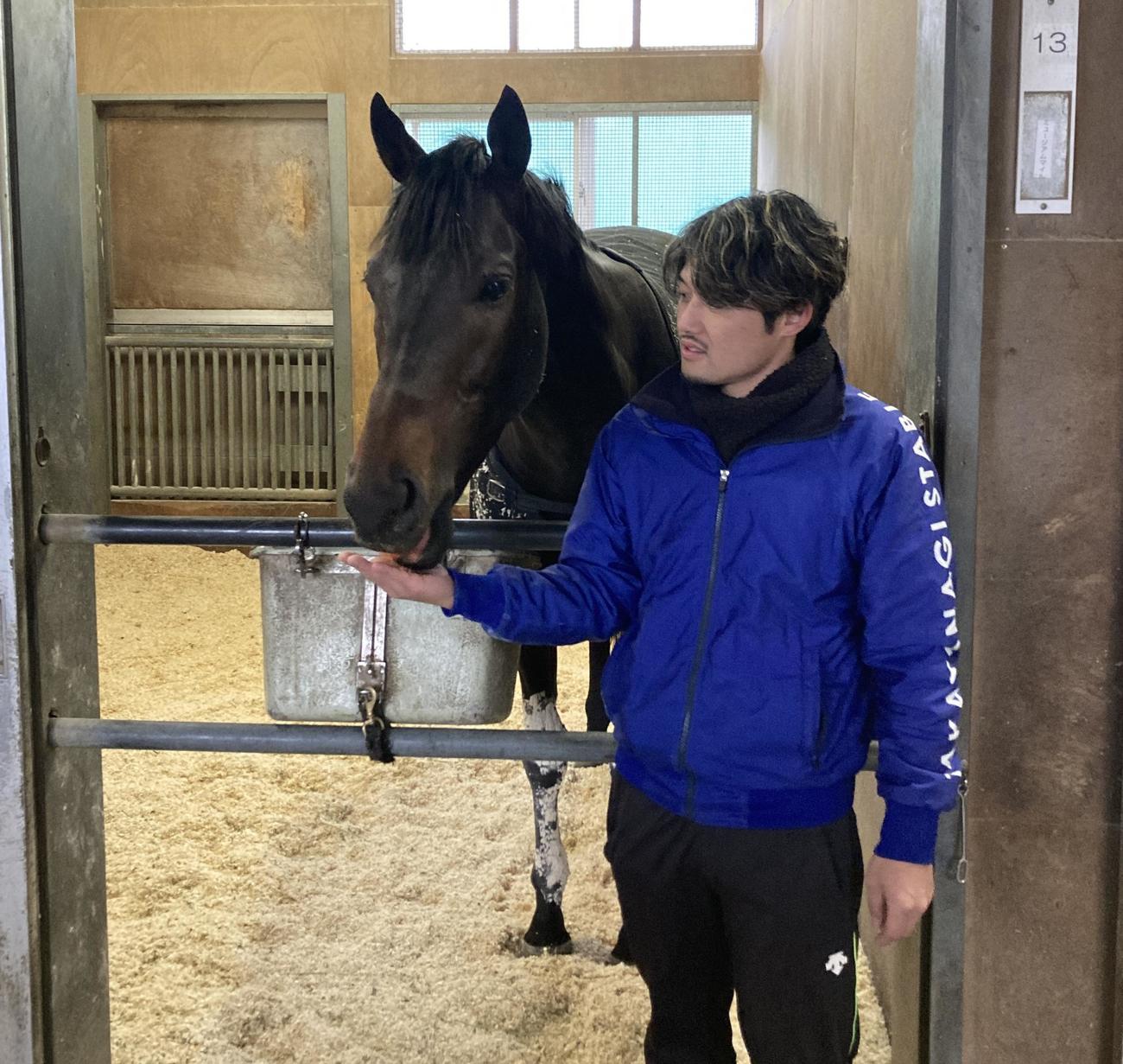 有馬記念制覇から一夜明けたミュージアムマイルは担当の嘉堂助手からニンジンをもらう