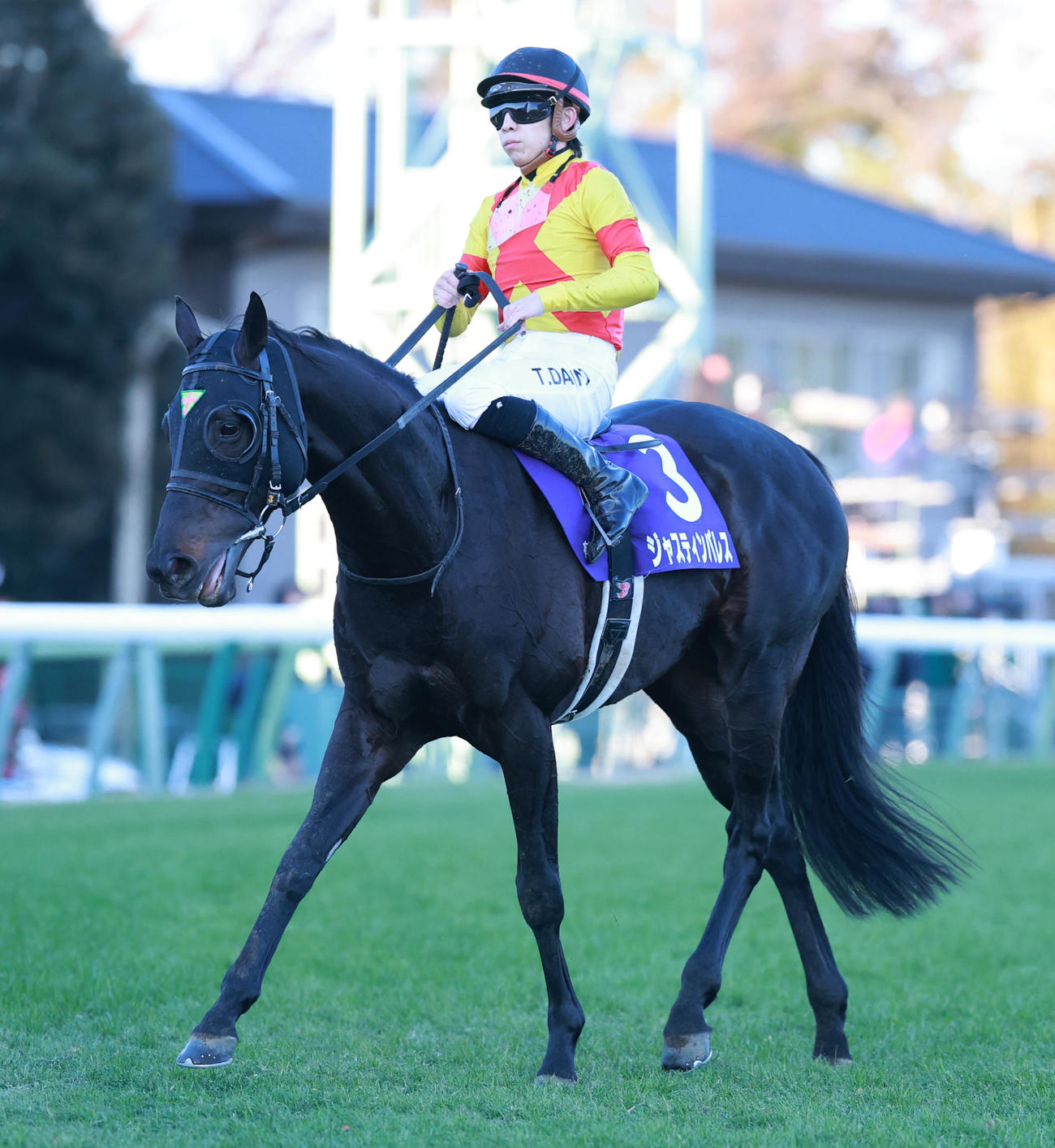 有馬記念7着に終わったジャスティンパレス