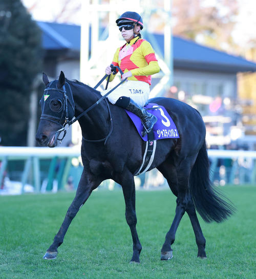 有馬記念7着で引退ジャスティンパレスは種付け料150万円、アロー