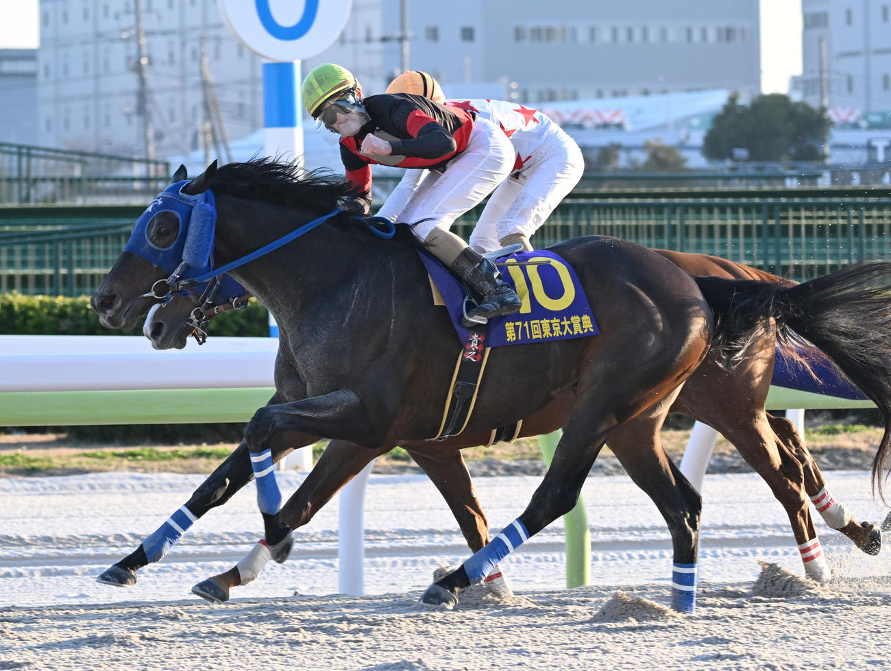 東京大賞典をディクテオンで制し、鞍上でガッツポーズする矢野騎手。奥は2着のミッキーファイト（撮影・千葉一成）