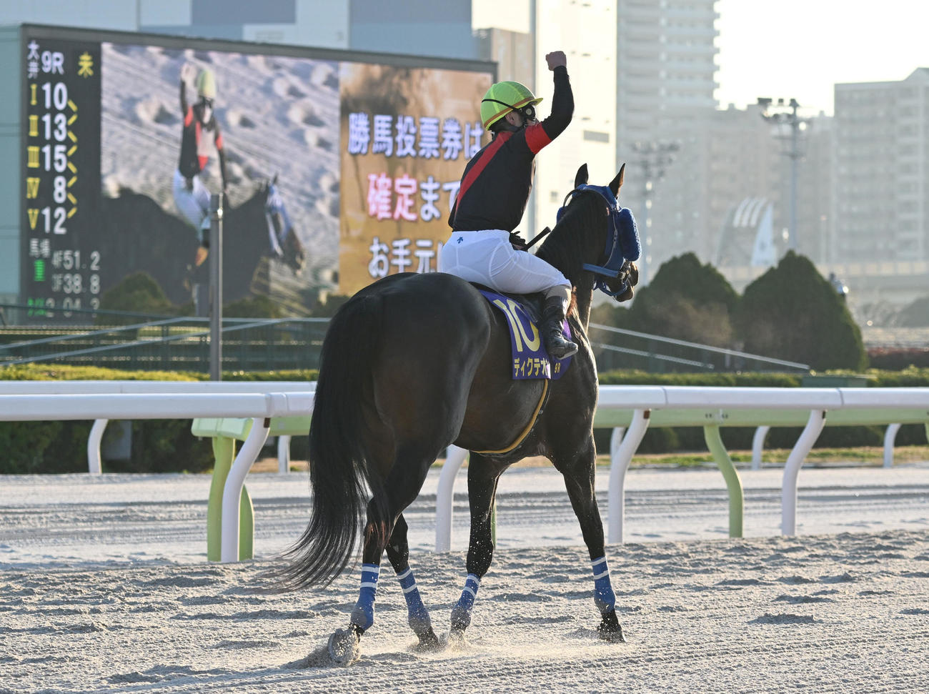 東京大賞典をディクテオンで制し、ファンの歓声にガッツポーズで応える矢野騎手（撮影・千葉一成）