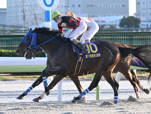 東京大賞典】大井のディクテオンが差し切り勝ち、20年ぶり地方馬＆地方