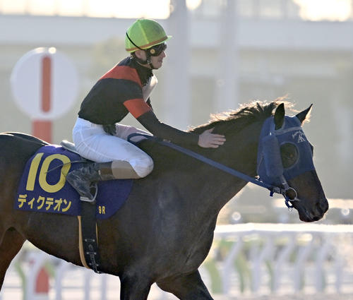 東京大賞典】大井のディクテオンが差し切り勝ち、20年ぶり地方馬＆地方