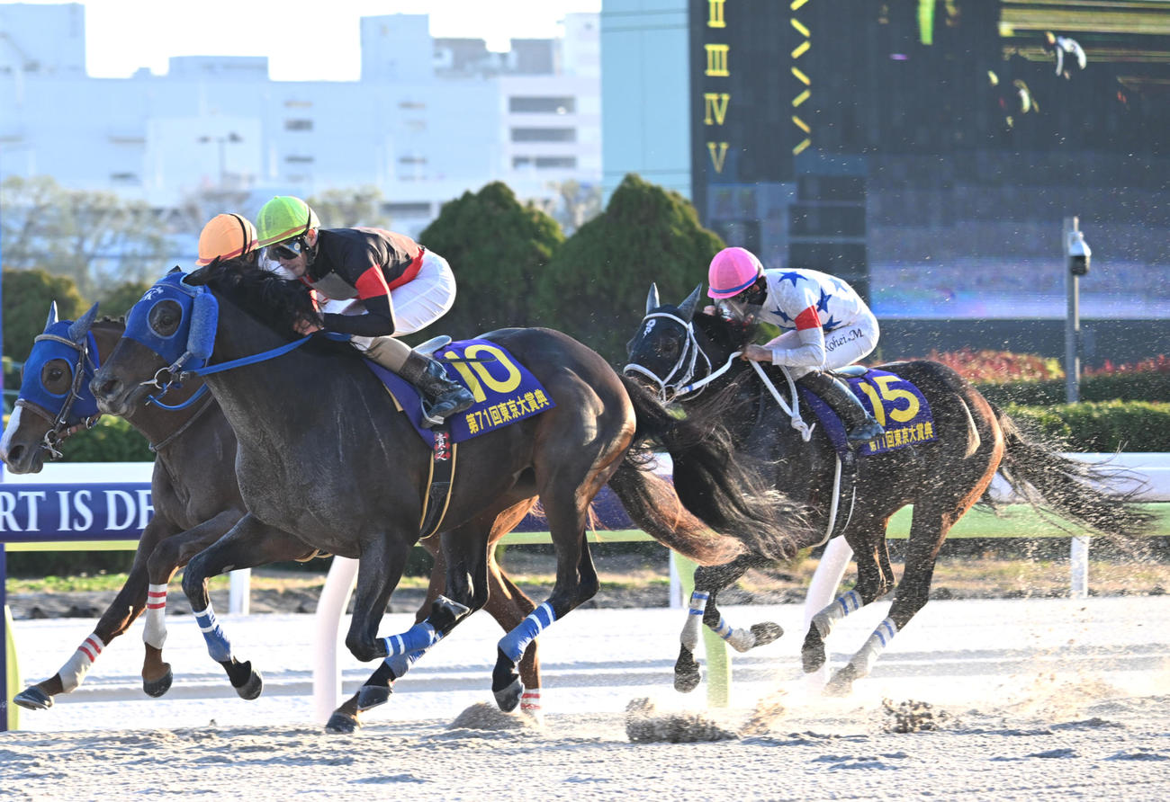 東京大賞典3着に入ったアウトレンジ（右）。手前は勝ったディクテオン（撮影・千葉一成）