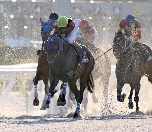 東京大賞典】全着順！ディクテオンが地方馬20年ぶりV、2着ミッキー