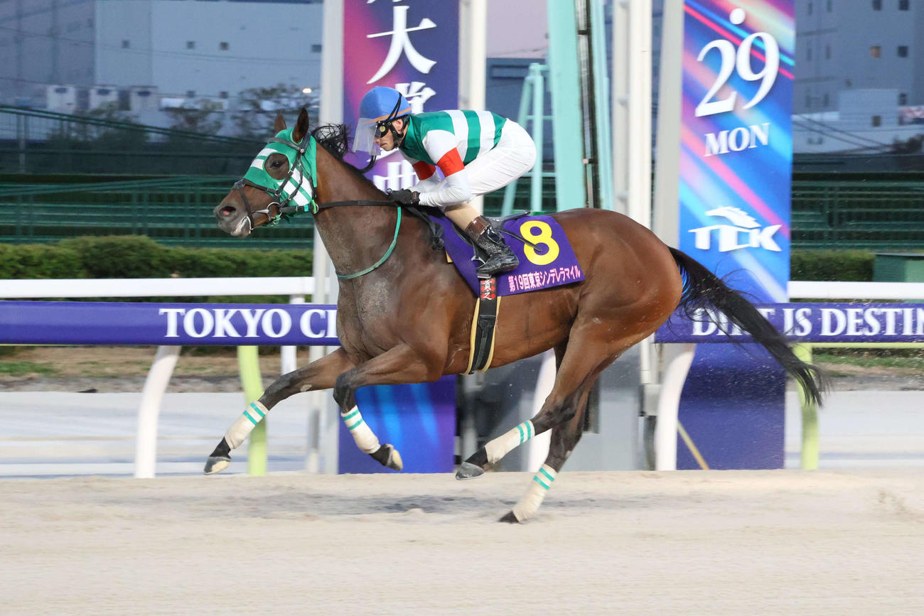 東京シンデレラマイルを制したホーリーグレイルと矢野貴之騎手