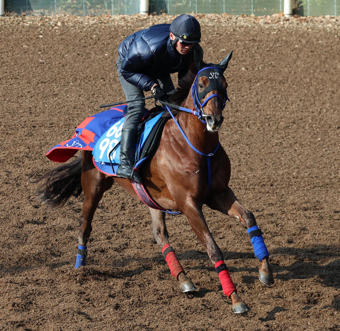 坂路を駆け上がるクルゼイロドスル