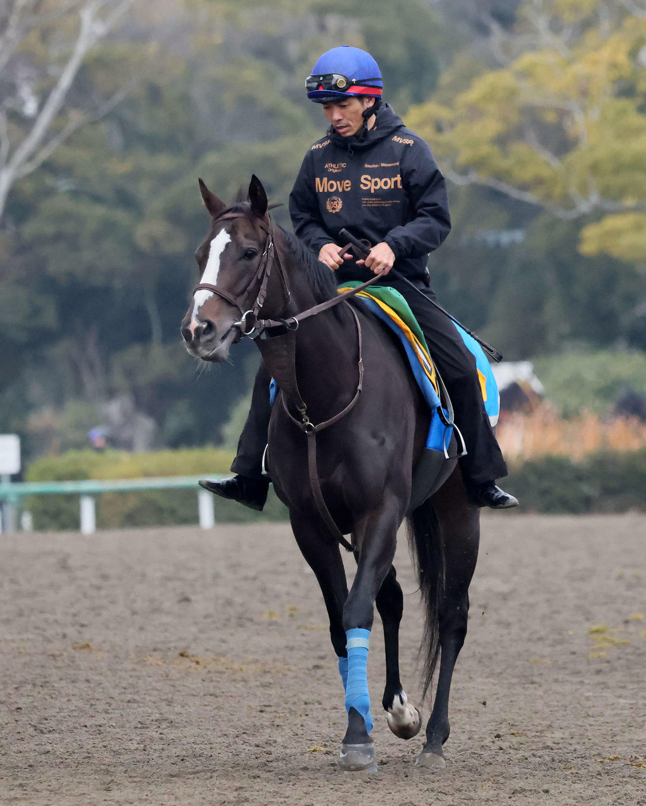 アンゴラブラックと戸崎騎手（25年12月撮影）