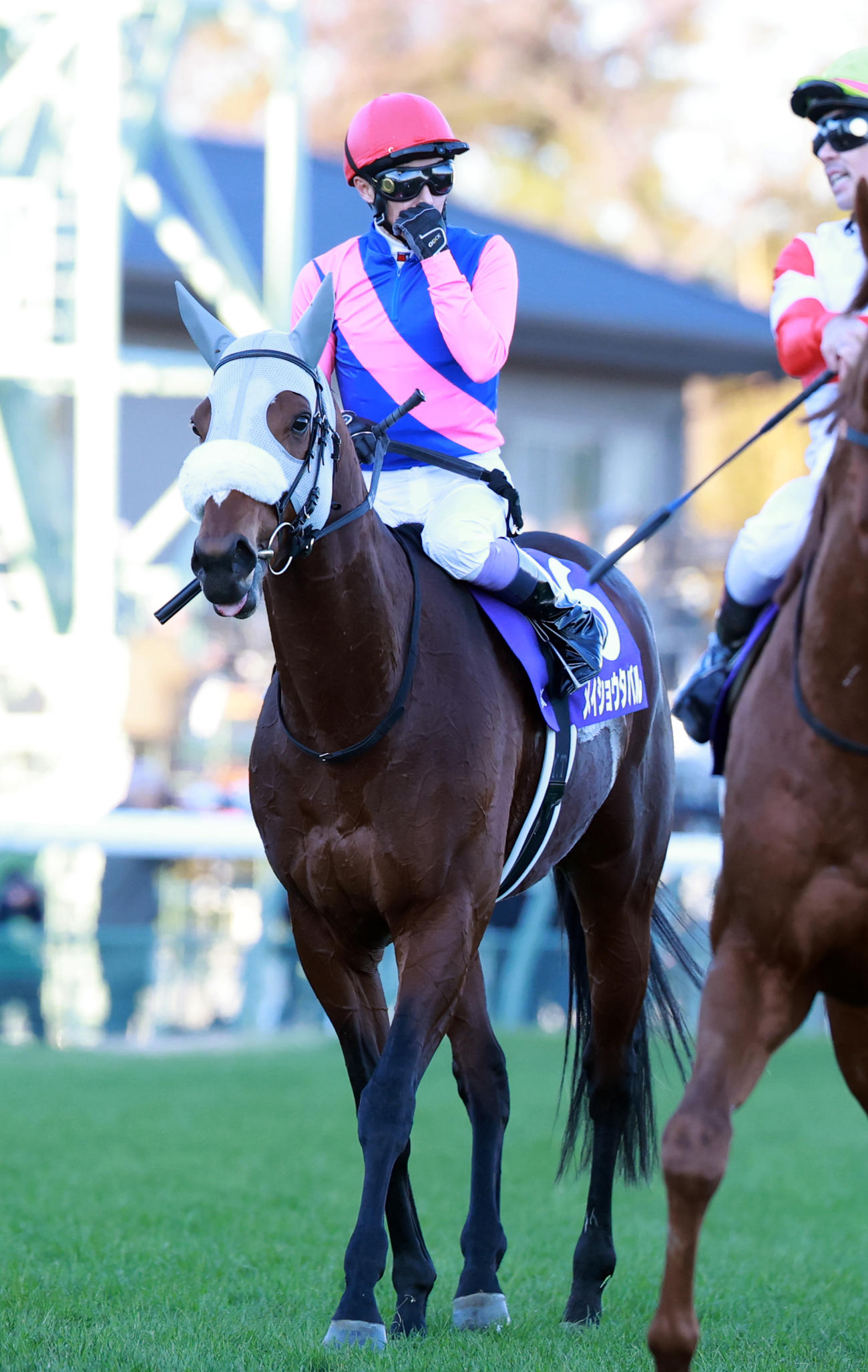 有馬記念で13着に終わったメイショウタバルと武騎手（25年12月撮影）
