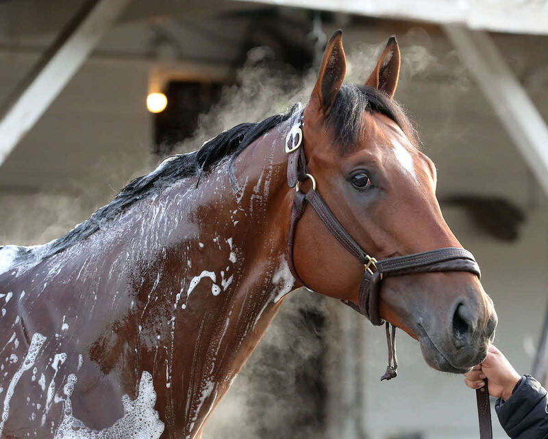 ジャーナリズム（C)Churchill Downs/Coady Media