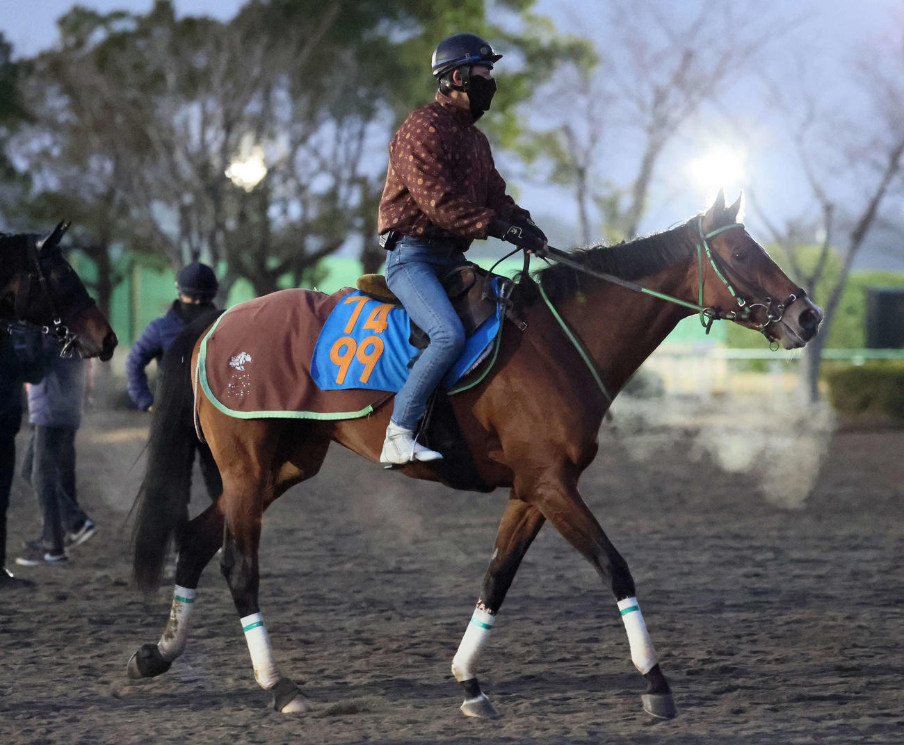 追い切りを終えて馬場を出るピースワンデュック（撮影・丹羽敏通）