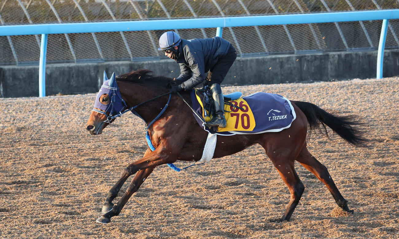 4連勝中のカネラフィーナは美浦ウッドを単走で追い切られた（撮影・丹羽敏通）