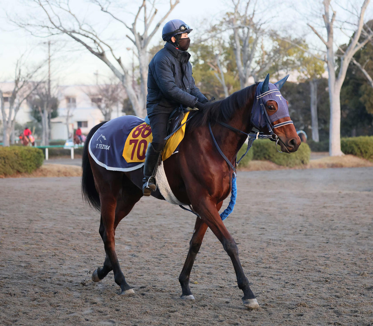 馬場へ向かうカネラフィーナと嶋田騎手（撮影・丹羽敏通）