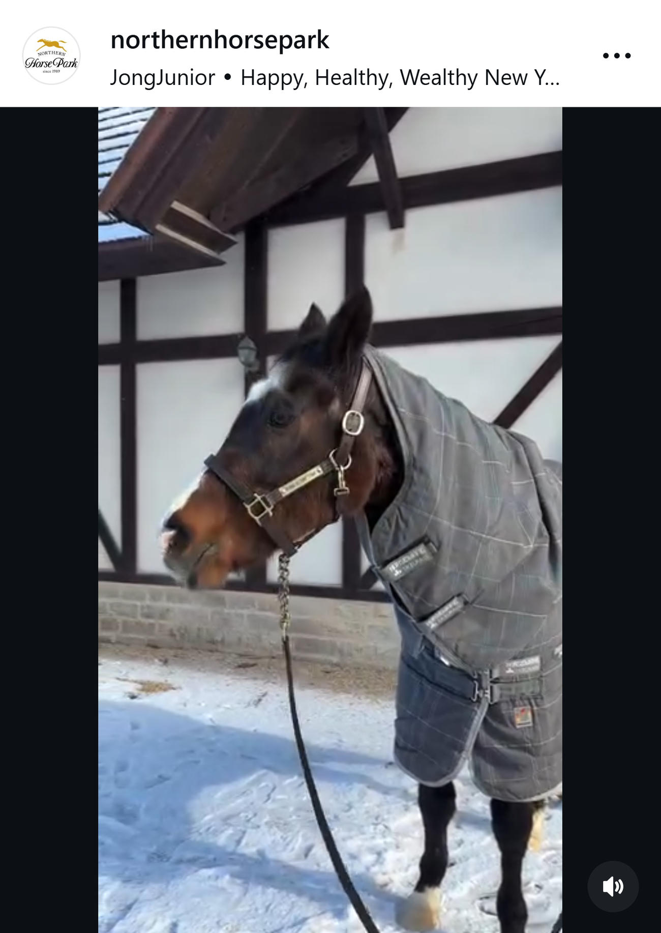 ノーザンホースパークのインスタグラムから