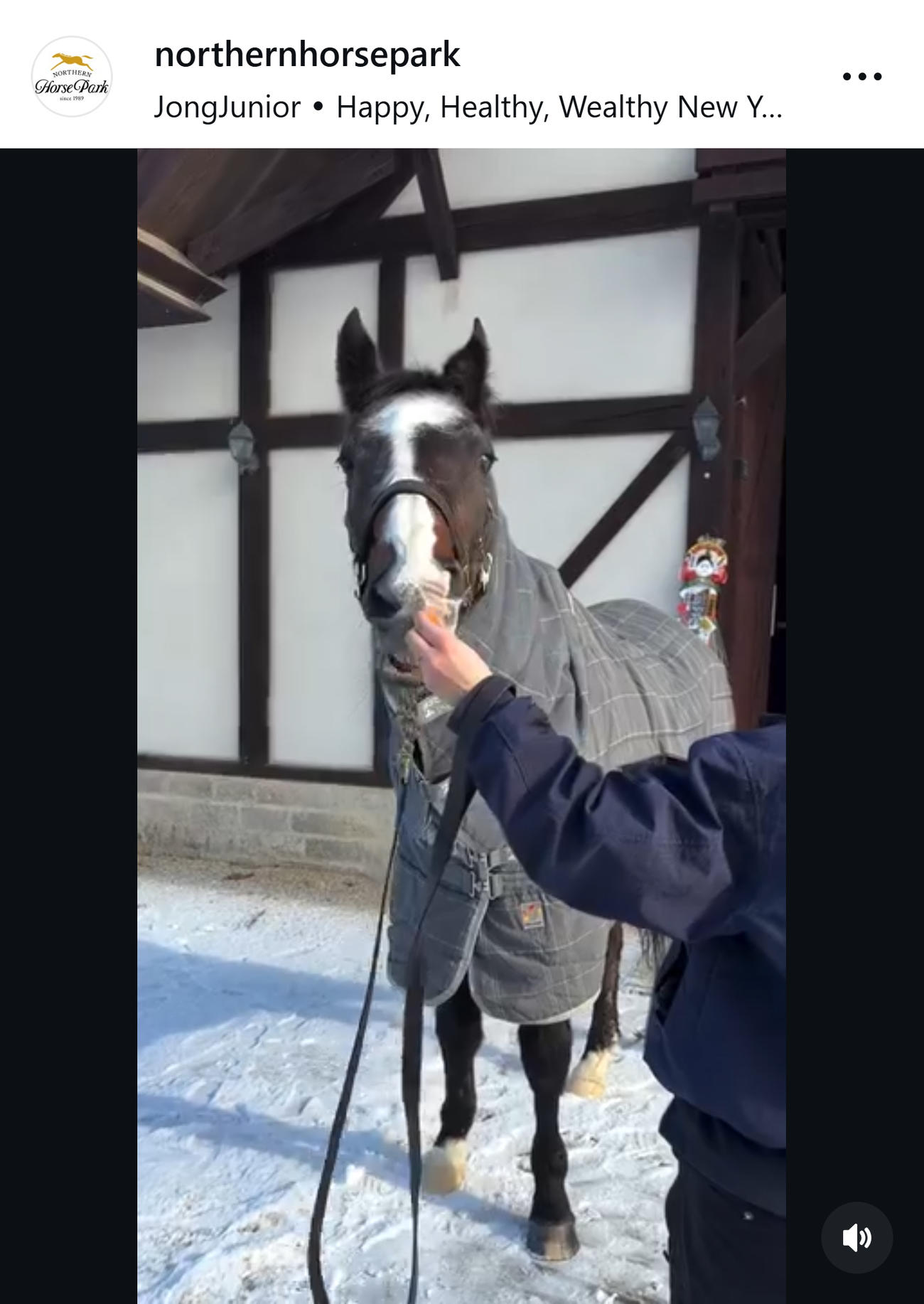 ノーザンホースパークのインスタグラムから