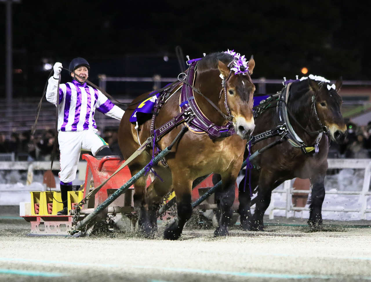 帯広記念を制したメムロボブサップ（写真提供・ばんえい十勝）