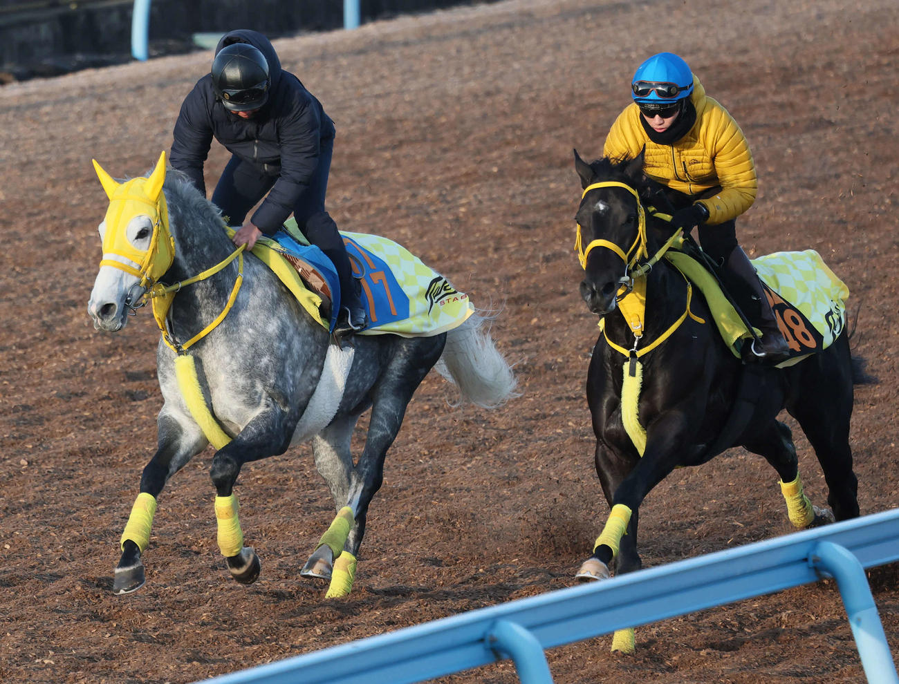 美浦ウッドで併せ馬を行うマイネルモーント（左）（2025年12月31日撮影）
