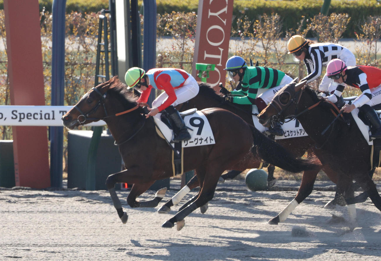 京都1R、田山騎手を背に3歳未勝利を勝ち上がったリーグナイト（撮影・白石智彦）