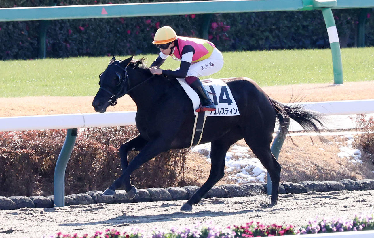 中山1R、3歳牝馬限定の未勝利戦を制したフュルスティンと横山武騎手（撮影・丹羽敏通）