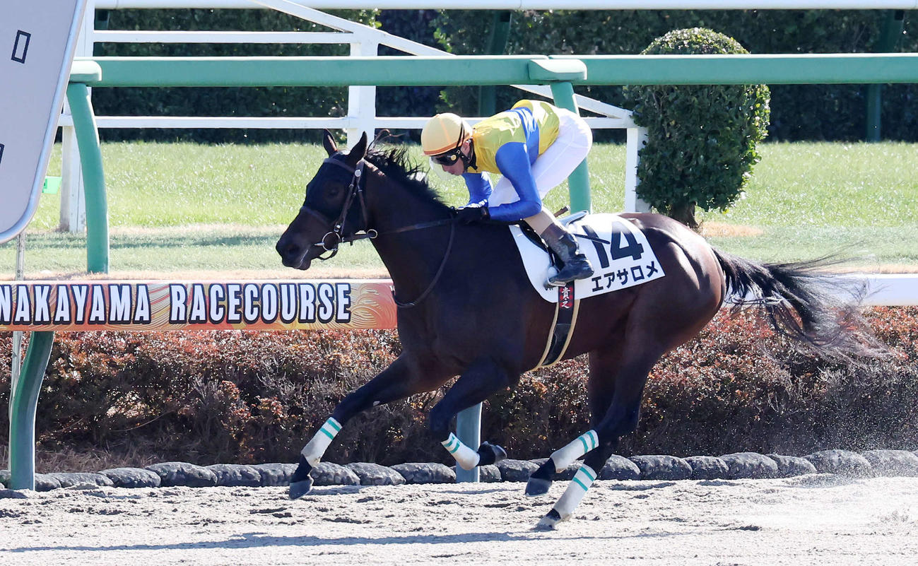 中山3R、3歳新馬戦を制したエアサロメと矢野騎手（撮影・丹羽敏通）