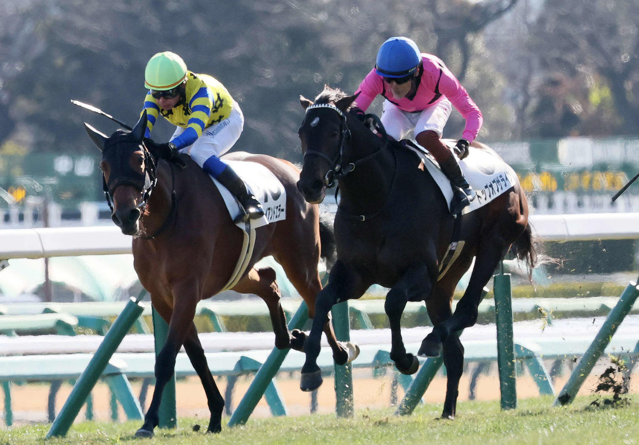 中山6R、3歳新馬戦を制したトップオブザラインと三浦騎手（右）（撮影・丹羽敏通）