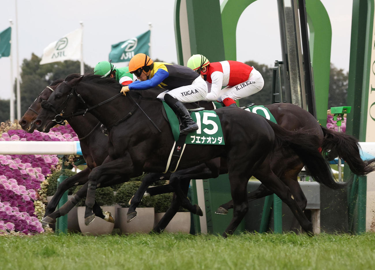 ゴール前の接戦を制して京都金杯を勝利したブエナオンダ（手前）（撮影・白石智彦）