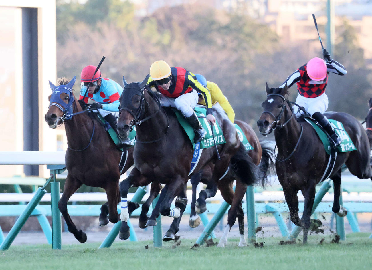 中山金杯を制したカラマティアノスと津村騎手（左から2頭目）（撮影・丹羽敏通）