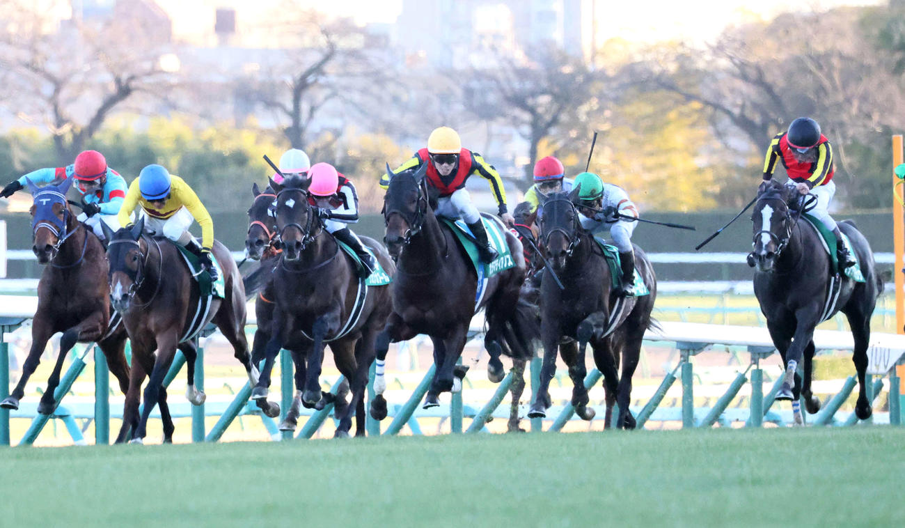 カラマティアノス（中央）が制した中山金杯（撮影・丹羽敏通）