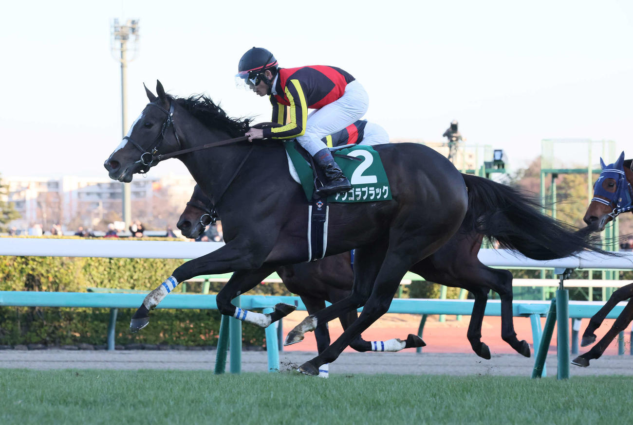 中山金杯で2着に敗れたアンゴラブラックと戸崎騎手（撮影・丹羽敏通）