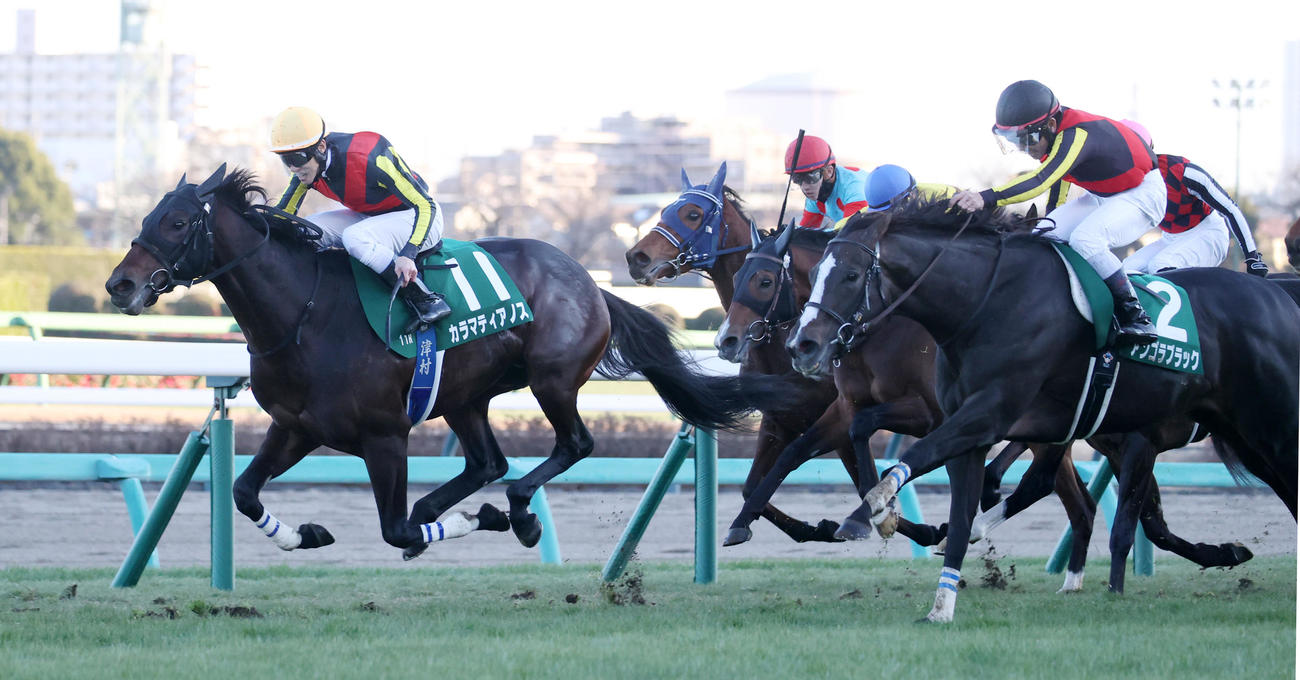 日刊スポーツ賞中山金杯を制したカラマティアノス（左）、2着アンゴラブラック（右）（撮影・柴田隆二）