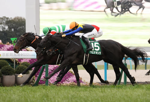 5歳で開花！ブエナオンダが重賞初制覇、午（うま）年に飛躍へ／京都
