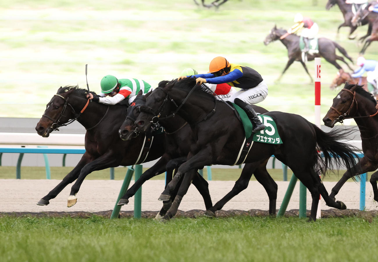 京都金杯2着のファーヴェント（左）。手前は勝ったブエナオンダ（撮影・白石智彦）