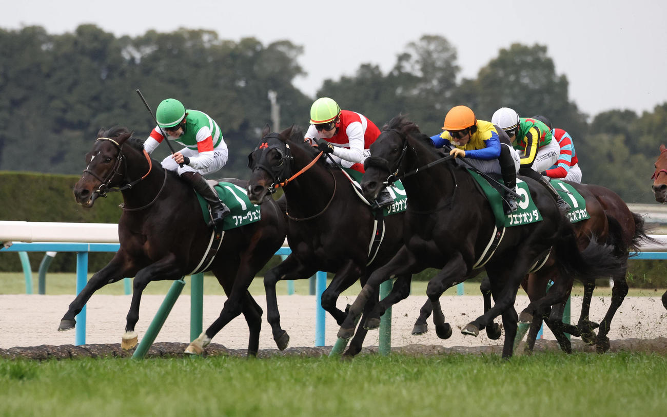 京都金杯18番人気で3着のショウナンアデイブ（左から2頭目）（撮影・白石智彦）