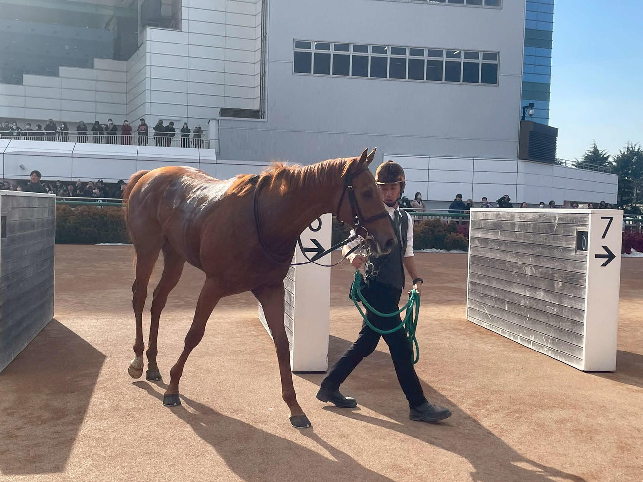 新馬戦で6着に敗れて引き揚げるブレイヴソルジャー