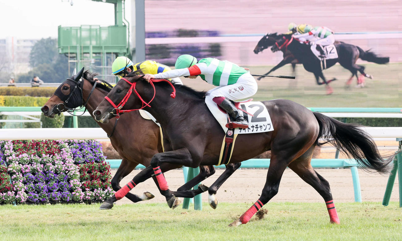 中山5R、3歳新馬戦を制したデイトナチャンプと横山武騎手（手前）（撮影・丹羽敏通）