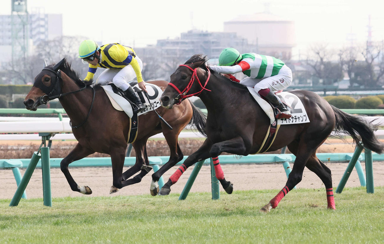中山5R、3歳新馬戦を制したデイトナチャンプと横山武騎手（手前）（撮影・丹羽敏通）