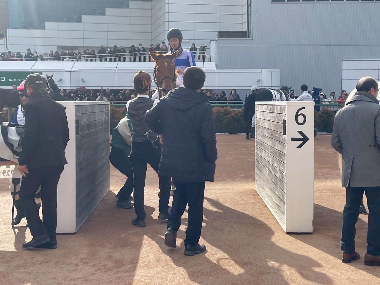 新馬戦で6着に敗れたブレイヴソルジャー