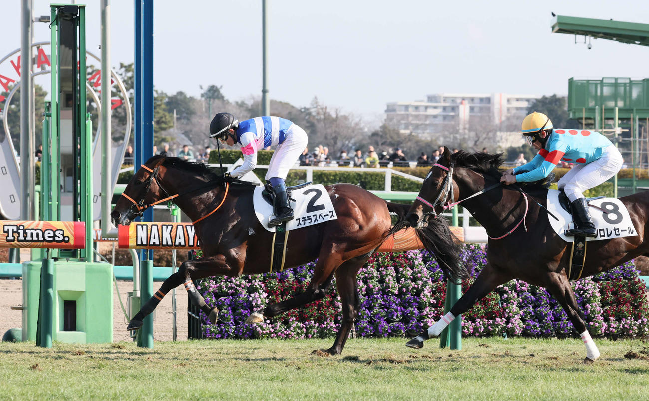 中山7R、3歳1勝クラスを逃げ切ったステラスペースと武藤騎手（左）（撮影・丹羽敏通）